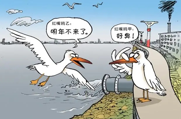 水污染從不缺少“花樣”，有凈水器的家庭能否安全避禍？
